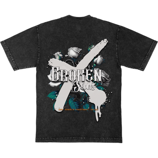 Beware of Hidden Snakes Washed Black Designer T
